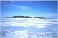 Kirnukarin L�nsisivu