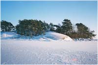 Paksholma