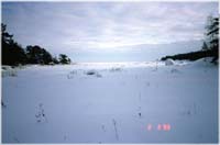 It�laguuni