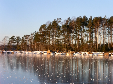 Pakholman eteläranta Pakholman eteläranta
