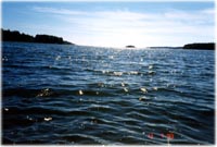 Karjalasta kaakkoon