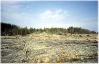 Koivuluodon etelärannalla on kallioita