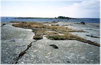 Matalamaan kalliolta Kolselille