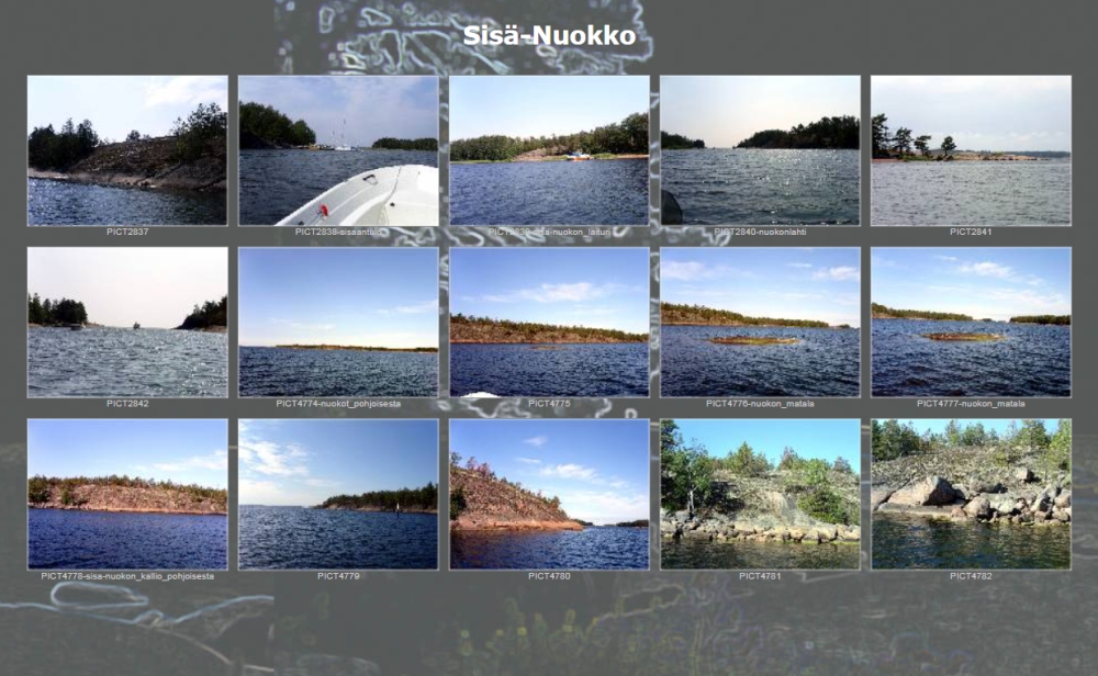 Diaesitys Sisä-Nuokko