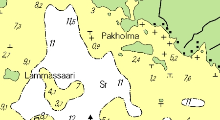 Pakholma eli Saapsaari